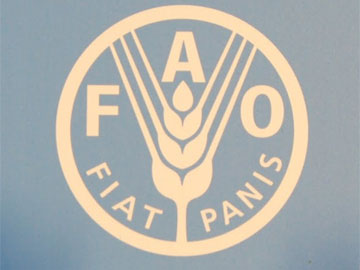 Food & Agriculture Organisation of the UN logo